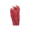Sušený aranžérsky ovos siaty 150g - červený