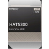Synology HAT5300 16TB, HAT5300-16T