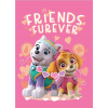 BrandMac Detská deka Paw Patrol Skye a Everest