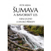 Šumava a Bavorský les - Petr Hejna - online doručenie