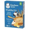 Gerber Junior Nemliečna kaša s chrumkavými kúskami ovocná - multifruit (od ukonč. 1. roku) 1x200 g Nestlé ESPAŇA, S.A.