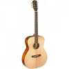 James Neligan BES-A N, akustická kytara typu Auditorium