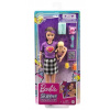 Barbie Skipper Babysitter s miminkem