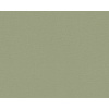 A.S. Création | Vliesová tapeta na stenu Flavour 36713-7 | 0,53 x 10,05 m | zelená + Zelená vliesová tapeta na stenu 367137 v rozmere 0,53 x 10,05 m
