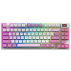 MSI FORGE GK600 TKL WIRELESS Violet S11-43CSQ01-HH9