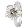 SKAGEN WOMAN JEWELS JRSW023SS5