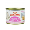 Royal Canin BabyCat Instinctive 195 g