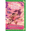 Čarovné práva (Úžasná Plochozem 3, Čarodejky 1) - Terry Pratchett