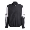 adidas Squadra 25 M JE2761