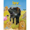 Lev a zvieratá savany - di Lorenzo Monica