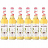 6 x Barmanský sirup na nápoje MONIN Vanilla Vanilkový 700 ml