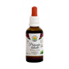 Salvia Paradise Právenka latnatá AF tinktúra 50 ml
