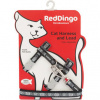 Red Dingo postroj s vodítkem kočka Paw Impressions
