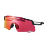 Shimano Okuliare EQUINOX5 čierne Ridescape Road