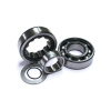 Feuling, Cam Bearings