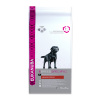 Eukanuba Labrador Retriever 12 kg