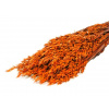 Sušený aranžérsky ovos siaty 150g - oranžový