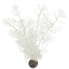 biOrb Sea Fan biela 29 cm