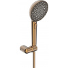 Hansa Sprchová hlavice s hadicí Aurelia broušený bronz 4717012081