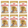 Paštéta Royal Canin Yorkshirský teriér 6x85g