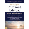 Přirozená bdělost (Steve Taylor)