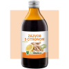 Zázvor s citrónom - prírodná šťava 250 ml