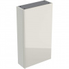 Geberit Acanto - Závesná skrinka 450x820 mm so zrkadlom vo vnútri, pieskovo sivá 500.639.JL.2