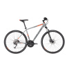 Kellys Phanatic 30 Grey - 21”