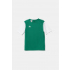 Detské tričko adidas Performance zelená farba, s potlačou, DP3216 164