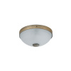 RABALUX Orchidea 8558 stropné svietidlo E27 2x MAX 60W