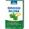 VITAR s.r.o. VITAR GINKGO BILOBA FORTE cps 1x60 ks