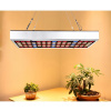 Osvetlenie pre rastliny - LED PANELOVÉ SVETLO NA RAST RASTLÍN 25W UV IR (Osvetlenie pre rastliny - LED PANELOVÉ SVETLO NA RAST RASTLÍN 25W UV IR)