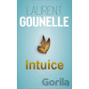 Intuice - Laurent Gounelle