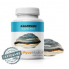 MycoMedica Agarikon 90 kapsúl