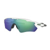 Oakley Radar EV Path oo9208-71