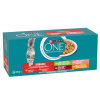 PURINA ONE Sterilcat 40 x 85 g