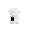 Aroma difúzer ACQUA E SALE 100ml Ruža