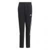Adidas Tiro21 Sweat Jr GM7332 pants (67035) 116cm