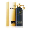 Montale Paris Oudyssee, Parfumovaná voda 100ml - Tester unisex
