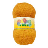 Priadza Elian Wendy 100 g 5095 Lion