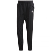 Nohavice Adidas Condivo 20 Presentation Pant EA2491