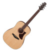 Ibanez AAD100E OPN