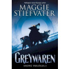 Greywaren Snová trilógia 3 - Stiefvaterová Maggie