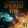 Spalující vina - Díl 1