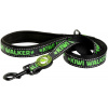 Kiwi Walker Vodítko nylon 150/3cm zelená Kiwi