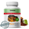 MycoMedica Chaga 50% vegán 90 kapsúl