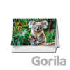 Stolový kalendár Wild life 2026 - Spektrum grafik