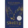Skellig: the 25th anniversary illustrated edition - David Almond, Hodder Children's Books