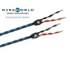 WireWorld Oasis 8 - 2x4m