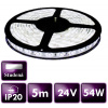 ECOLIGHT LED pásik - SMD 2835 - 5 m - 60 LED/m - 10,8 W/m - 24V - IP20 - studená biela